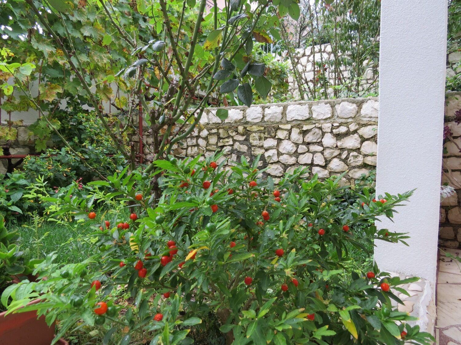 Apartment Bubi Trogir Exterior foto